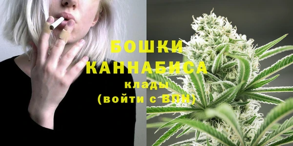 тгк Лиски