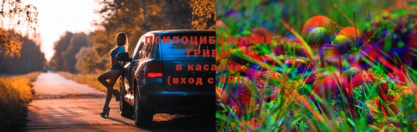 тгк Лиски