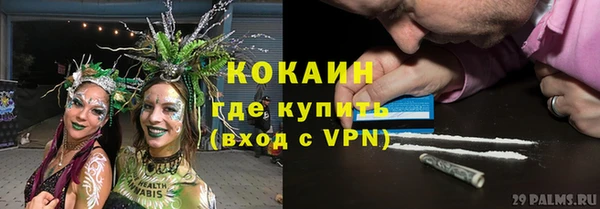 тгк Лиски