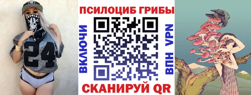 Купить закладки  Зерноград  Псилоцибиновые грибы Psilocybe 